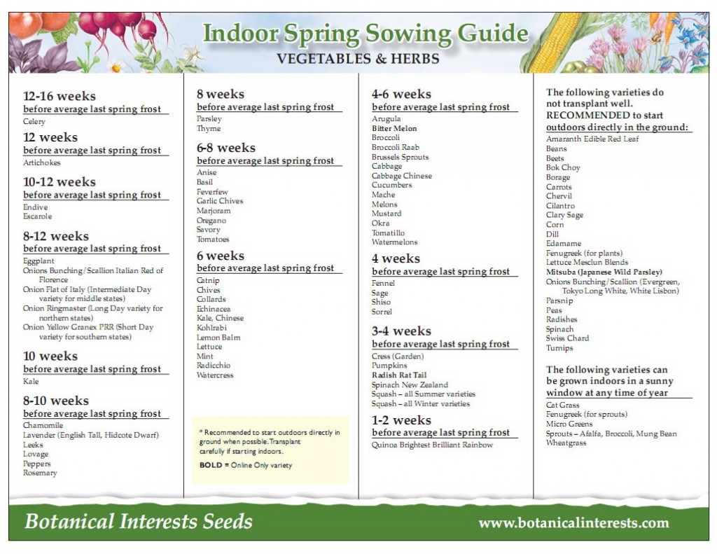 Indoor Sowing Guide