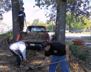 Donated Mulch-EC